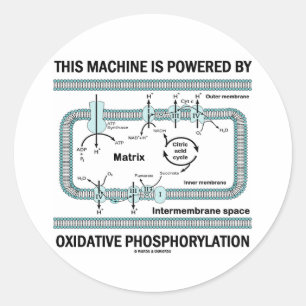Adesivo Redondo Esta máquina psta pela fosforilação oxidativo