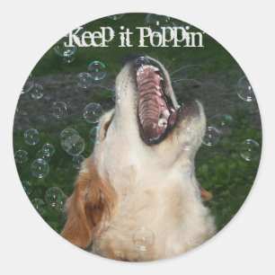 Adesivo Redondo Estalo da bolha do golden retriever