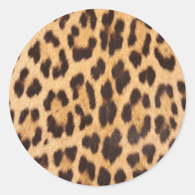 Adesivo Redondo estampagem de leopardo-do-safari selvagem feminino (Frente)