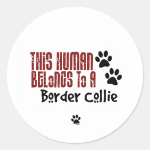 Adesivo Redondo Este ser humano pertence a border collie