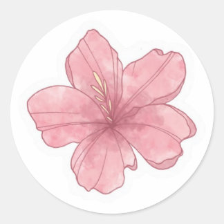 Adesivo Redondo estética de verão