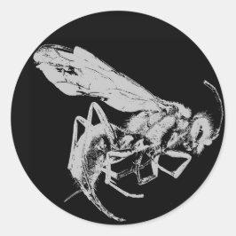 Adesivo Redondo Estilo preto e branco minimalista Insetos Insetos 