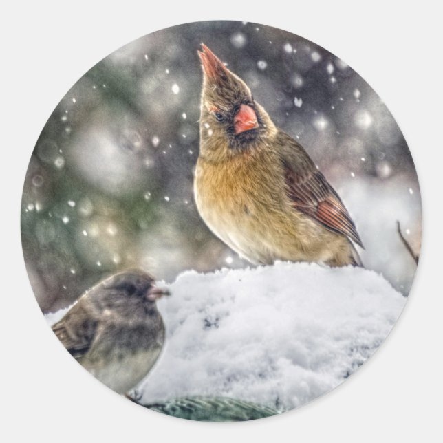 Adesivo Redondo Estou de olho em você (Frente)