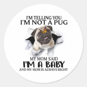 Adesivo Redondo Estou te dizendo que não sou um Pug. Sou um Bebê P