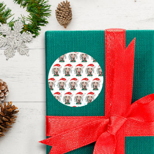 Adesivo Redondo Estrelas de Natal de Cachorro-Weimaraner