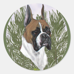 Adesivo Redondo Estudo da cabeça do pugilista da cara completa