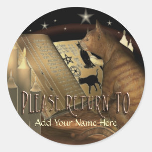 Adesivo Redondo Estudo de Lições de Gato