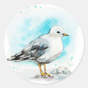 Adesivo Redondo Estudo de Seagull 1