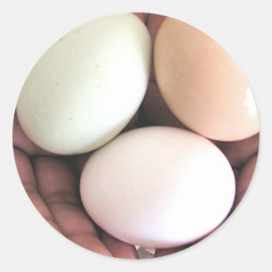 Adesivo Redondo Etiqueta, ovos aninhados nas mãos, arte da foto