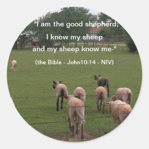 Adesivo Redondo Etiquetas/carneiros