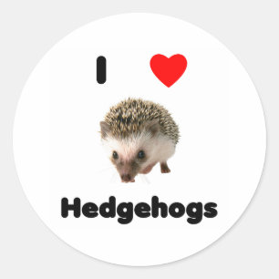 Adesivo Redondo Eu adoro hedgehogs Sticker