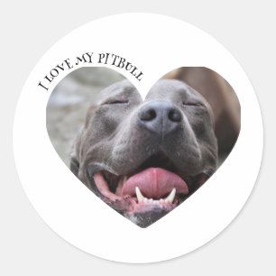 Adesivo Redondo Eu adoro minha foto personalizada de cachorro pitb