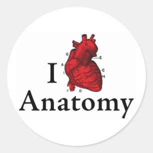 Adesivo Redondo Eu amo a anatomia