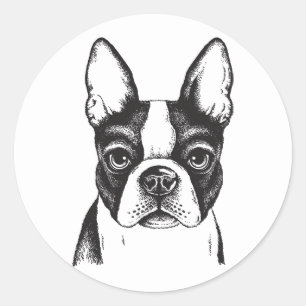 Adesivo Redondo Eu amo Boston Terriers