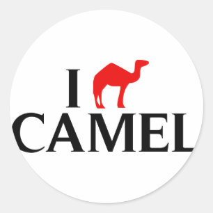 Adesivo Redondo Eu amo camelos