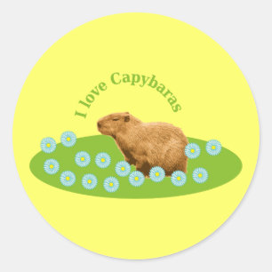Adesivo Redondo Eu amo Capybaras