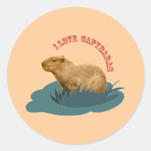 Adesivo Redondo Eu amo capybaras
