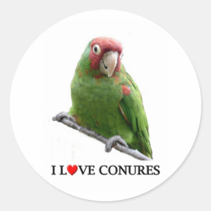Adesivo Redondo Eu amo conures demasiado
