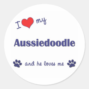 Adesivo Redondo Eu amo meu Aussiedoodle (o cão masculino)
