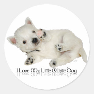 Adesivo Redondo Eu Amo Meu Cachorrinho Branco - Filhote Westie