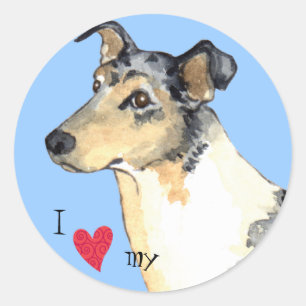Adesivo Redondo Eu amo meu Collie liso