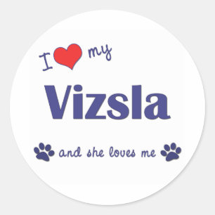 Adesivo Redondo Eu amo meu Vizsla (o cão fêmea)