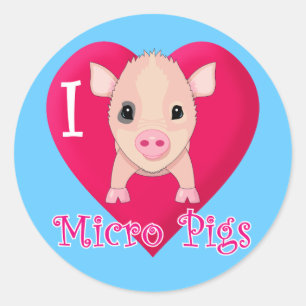 Adesivo Redondo Eu amo micro porcos