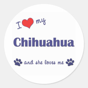 Adesivo Redondo Eu amo minha chihuahua (o cão fêmea)
