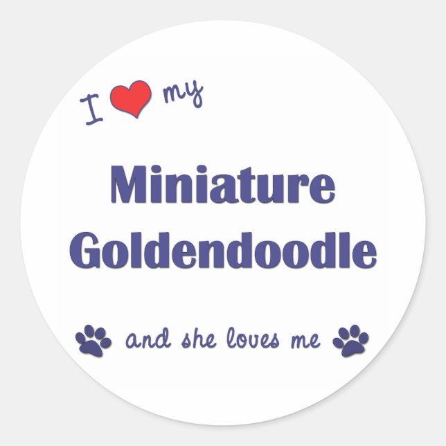 Adesivo Redondo Eu Amo Minha Miniatura Goldendoodle (Cachorro Femi (Frente)