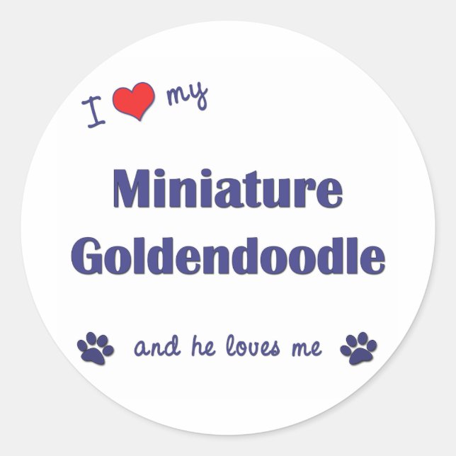 Adesivo Redondo Eu Amo Minha Miniatura Goldendoodle (Cachorro Masc (Frente)
