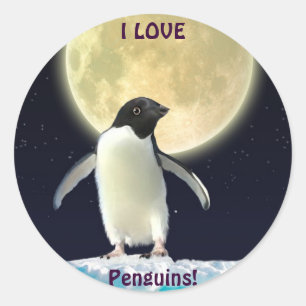 ADESIVO REDONDO EU AMO PINGUINS PINGUINS PINGUENS BONITOS