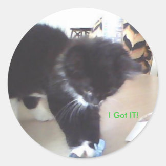 Adesivo Redondo Eu entendi!