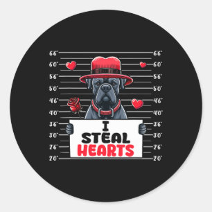 Adesivo Redondo Eu Roubo Corações Fofos Dia dos Namorados Cane Cor