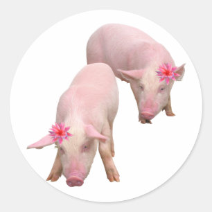 Adesivo Redondo Eu sou bonito