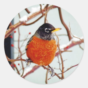 Adesivo Redondo Eu vejo Primavera