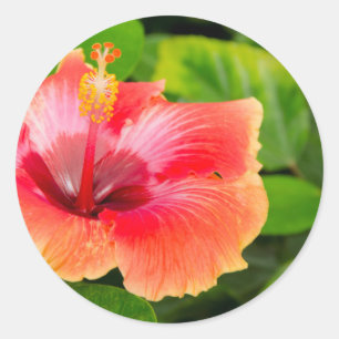 Adesivo Redondo EUA, Alabama, Theodore Near Mobile 4