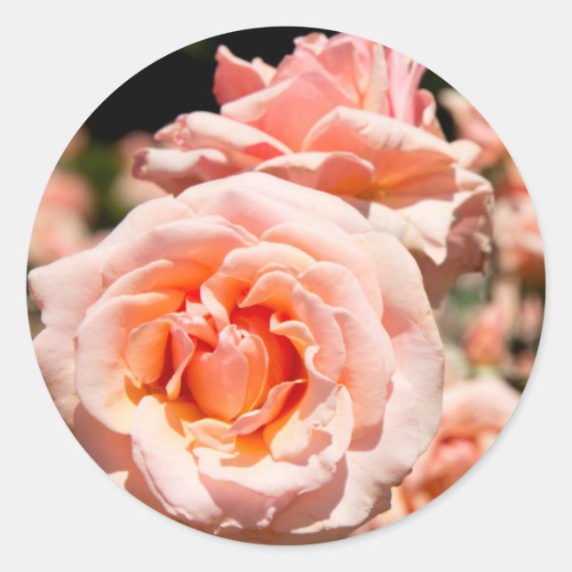 Adesivo Redondo EUA, Alabama, Theodore Near Mobile 5 (Frente)