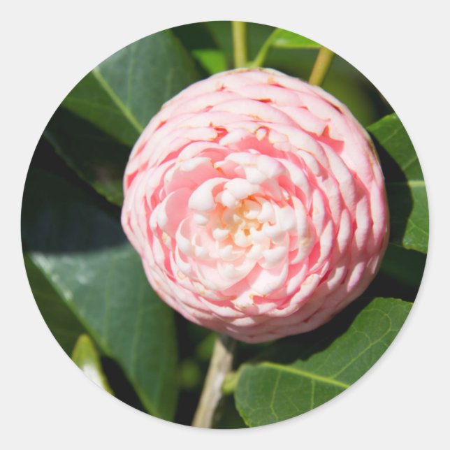 Adesivo Redondo EUA, Alabama, Theodore perto de Mobile (Frente)