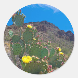Adesivo Redondo EUA, Arizona. Cacto Nas Colinas