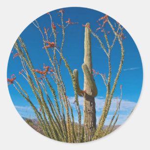 Adesivo Redondo EUA, Arizona. Cacto no Parque Nacional Saguaro