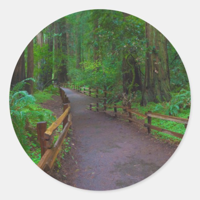 Adesivo Redondo EUA, Califórnia. Caminho Entre Sequoias (Frente)