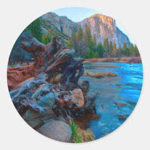 Adesivo Redondo EUA, Califórnia. Raízes De Árvore No Rio Merced