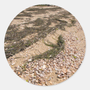 Adesivo Redondo EUA, Massachusetts, Nantucket. Shell