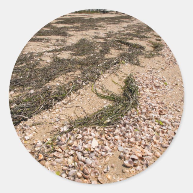 Adesivo Redondo EUA, Massachusetts, Nantucket. Shell (Frente)