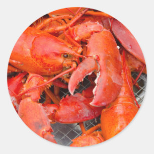 Adesivo Redondo EUA, Massachusetts, Vineyard de Martha