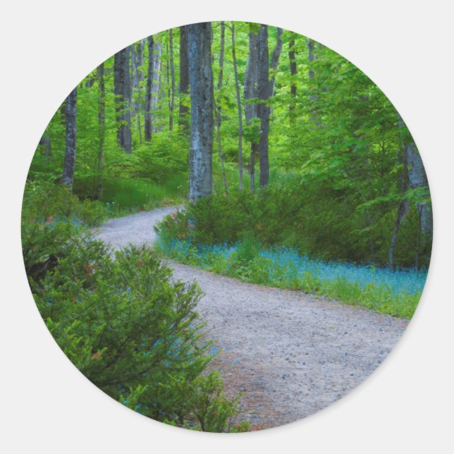 Adesivo Redondo EUA, Michigan. Caminho Pela Floresta (Frente)