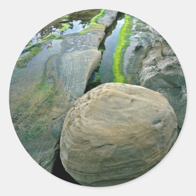 Adesivo Redondo EUA, Oregon, Shore Acres State Park (Frente)