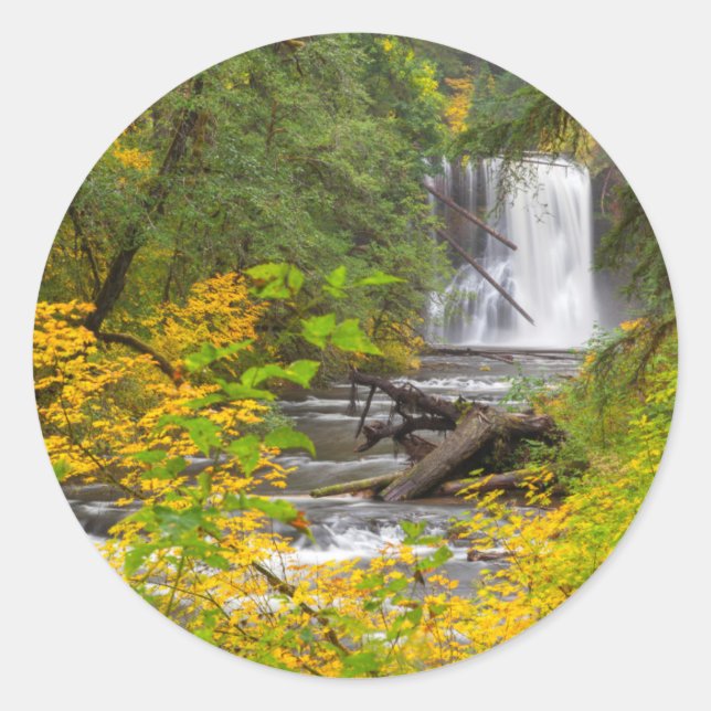 Adesivo Redondo EUA, Oregon, Silver Falls State Park 2 (Frente)