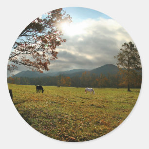 Adesivo Redondo EUA, Tennessee. Cavalos no Vale de Cades Cove