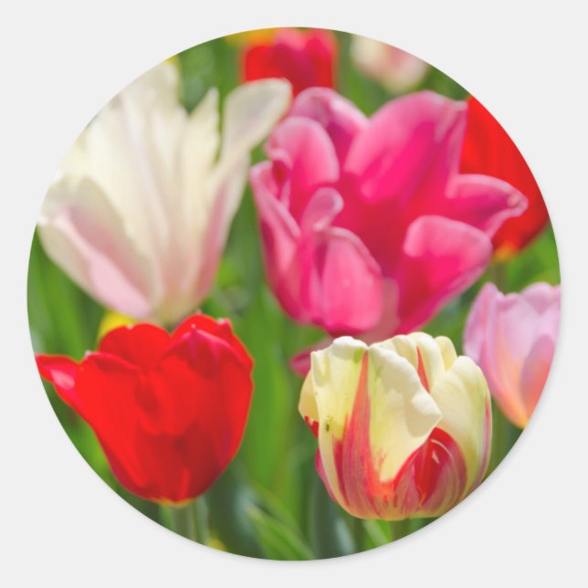 Adesivo Redondo EUA, Tennessee, Nashville (Frente)